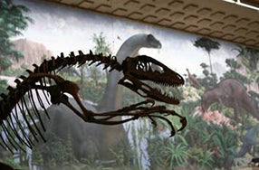 dark image of dinosaur bones with mural in background