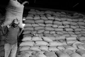 A worker carries a large bag of coffee beans on his shoulders
